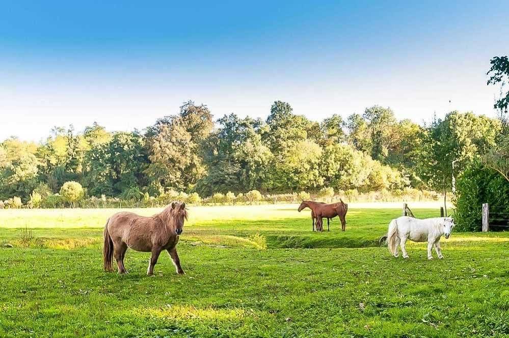 Le Clos Des Vignes Neuville-Bosc Zewnętrze zdjęcie